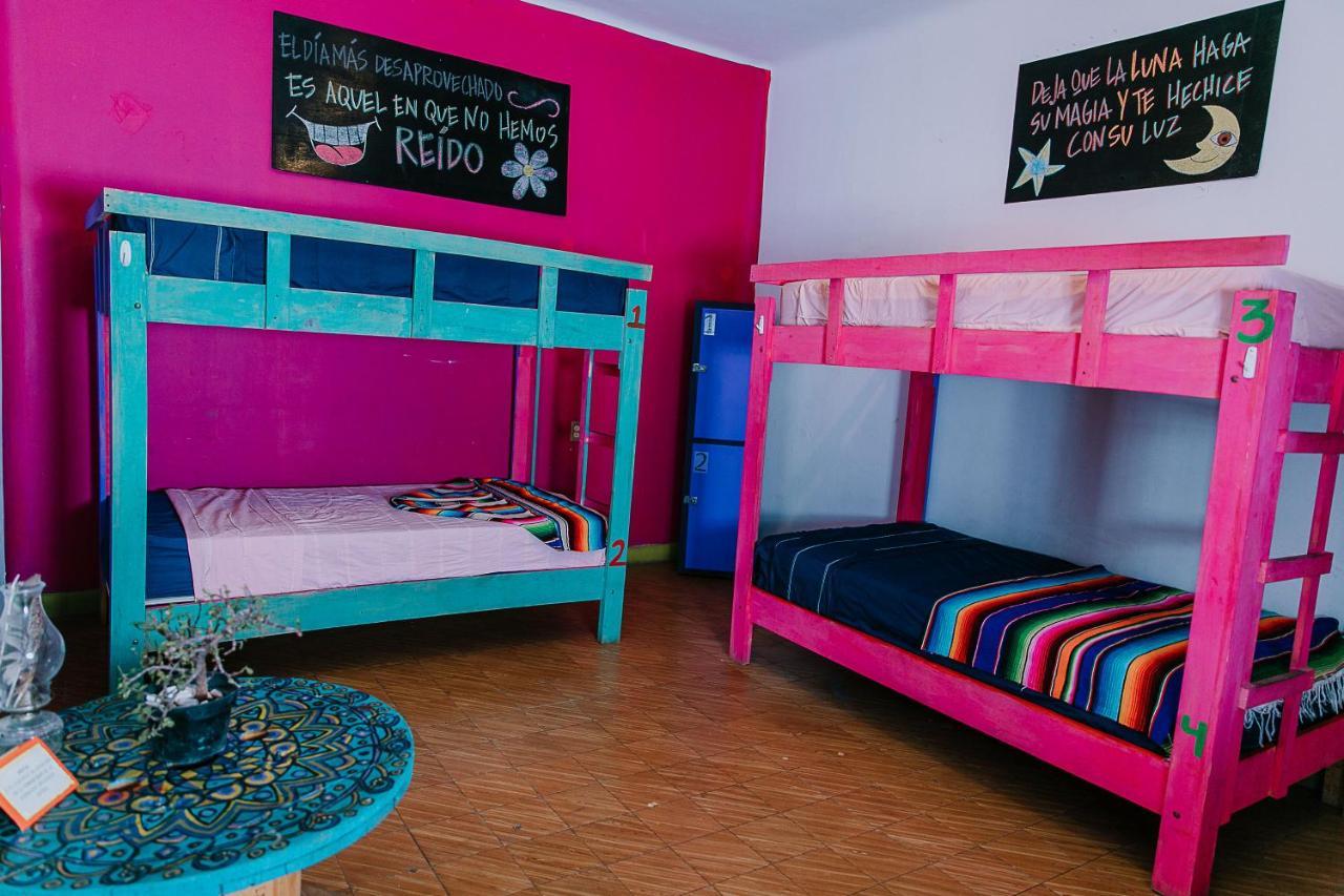 Hostal Chesal ซานหลุยส์โปโตซิ ภายนอก รูปภาพ