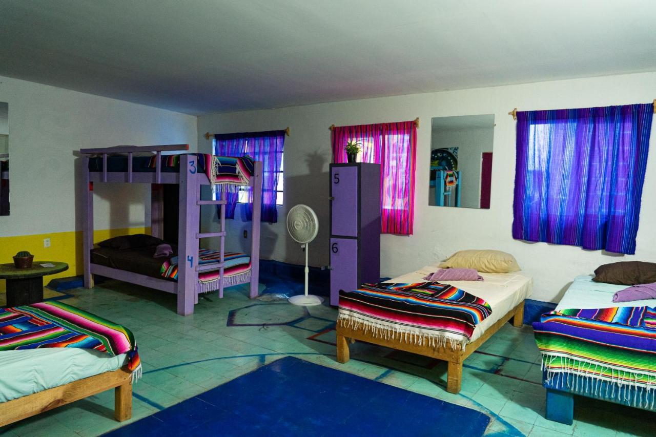 Hostal Chesal ซานหลุยส์โปโตซิ ภายนอก รูปภาพ