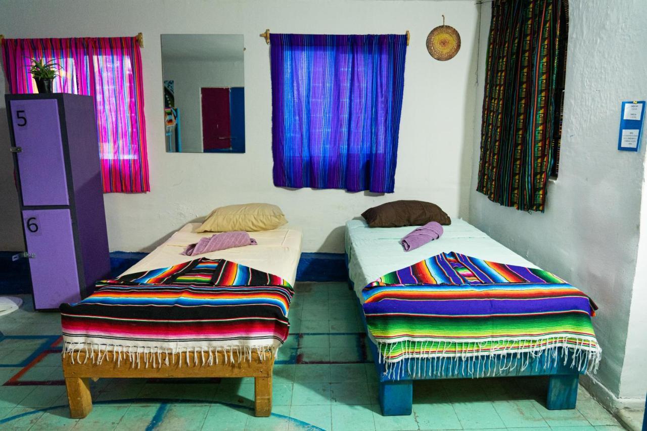 Hostal Chesal ซานหลุยส์โปโตซิ ภายนอก รูปภาพ