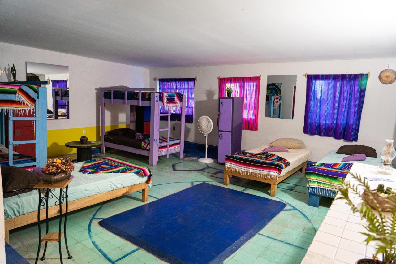 Hostal Chesal ซานหลุยส์โปโตซิ ภายนอก รูปภาพ